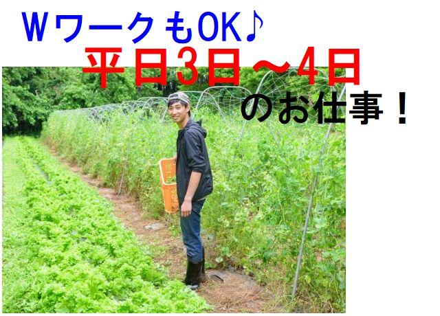 農作業をされていた方には最適！WワークもOKで平日の3日～4日のお仕事です。