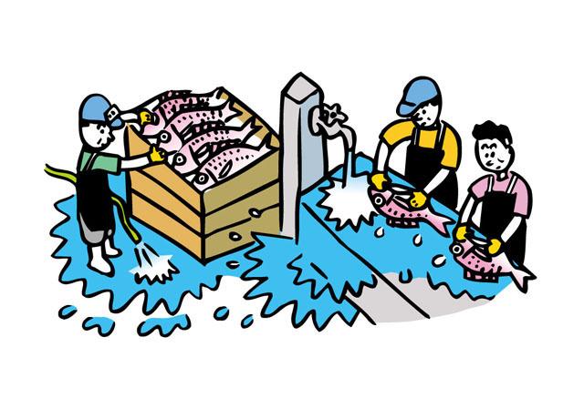 水産加工場でのお仕事です