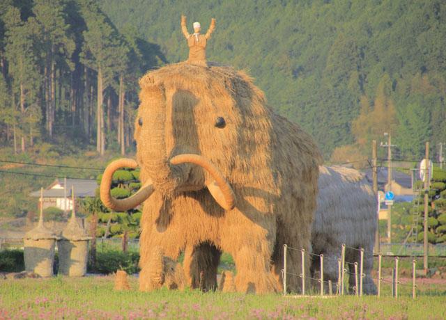 勤務地の移動がないので転勤の心配もなし！あなたの住み慣れた地域でお仕事が可能♪