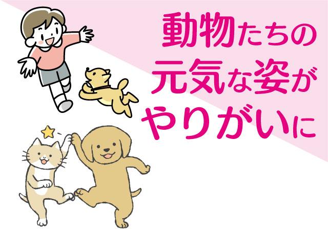 動物が好きなあなたならわかるはず♪