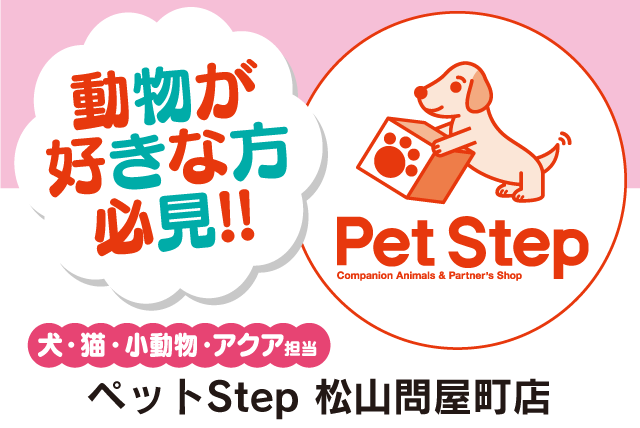 ペットの接客・販売 未経験OK 週5日程度 女性活躍中 パート｜ペットStep 松山問屋町店｜愛媛県松山市問屋町