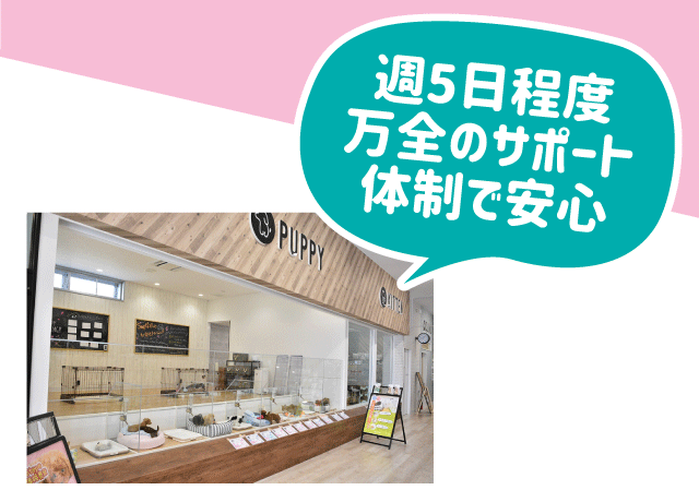 未経験でも安心して働ける環境！