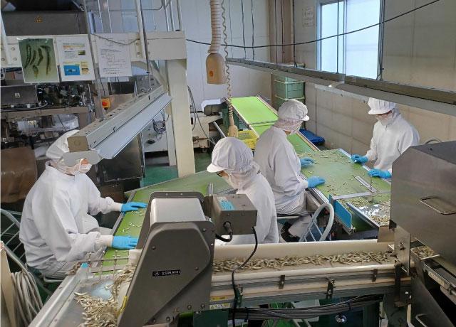 モクモク系希望の方に最適のお仕事♪