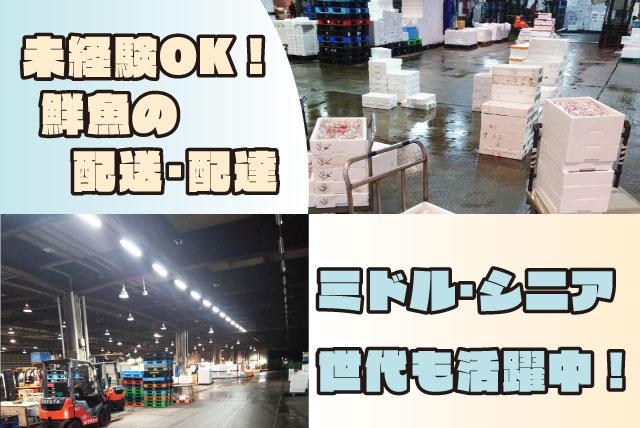 鮮魚の加工 配送 夜のお仕事 経験不問 年齢不問 マイカー通勤OK 正社員｜(株)河野鮮魚｜愛媛県今治市片原町