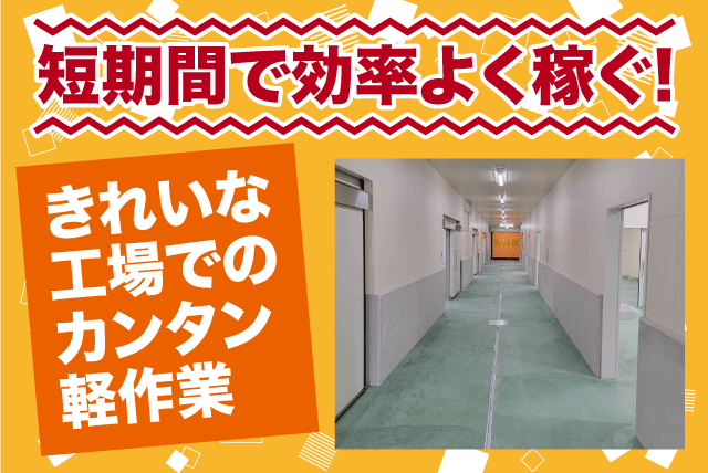 工場内軽作業 袋詰め 検品 経験不問 土日休みor週2日勤務 期間限定 バイト｜金井食品(株)｜愛媛県松山市中野町