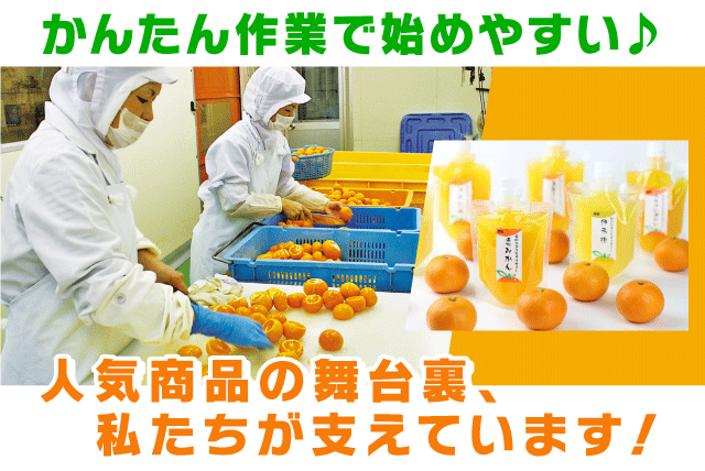 青果加工スタッフ 柑橘類 未経験OK 土日休み 短時間可 パート｜(株)オレンジフーズ｜愛媛県松山市安城寺町