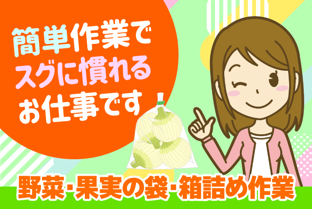 仕分けスタッフ 青果の袋詰め シンプル作業 週2日から パート｜丸三青果(有)｜愛媛県松山市千舟町