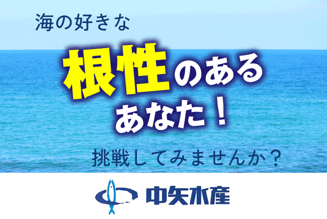 漁船員 イワシ漁業 経験不問 年間150日程度の勤務 正社員｜中矢水産｜愛媛県松山市西垣生町