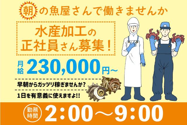 鮮魚の仕入れ 加工 販売 配送業務 社員のお仕事 新居浜市清水町 正社員 アルバイト 契約 求人情報 ワークネット 愛媛県松山市
