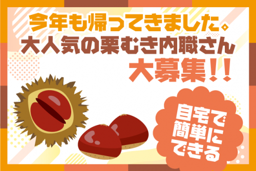 在宅で出来る 栗の皮むき作業 定年後の副収入に 性別不問 年齢不問 内職｜(株)アグシス 中予｜愛媛県松山市三番町