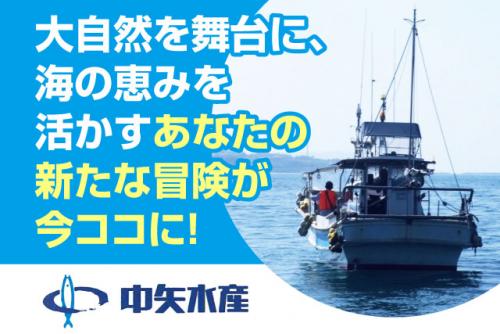 イワシ漁業 経験不問 学歴不問 年間150日程度の勤務 正社員｜中矢水産｜愛媛県松山市西垣生町