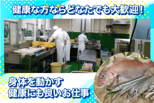 出荷スタッフ 鮮魚類 週3日～ 年齢・経験不問 社割あり パート｜(有)嶋矢水産｜愛媛県松山市三津