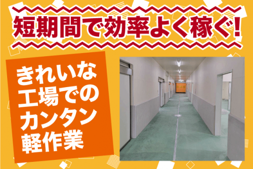 工場内軽作業 袋詰め 検品 経験不問 土日休みor週2日勤務 期間限定 バイト｜金井食品(株)｜愛媛県松山市中野町