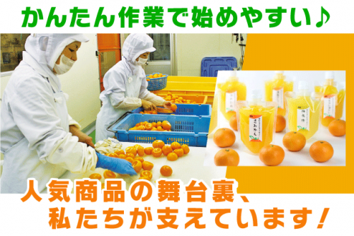 青果加工スタッフ 柑橘類 未経験OK 土日休み 短時間可 パート｜(株)オレンジフーズ｜愛媛県松山市安城寺町