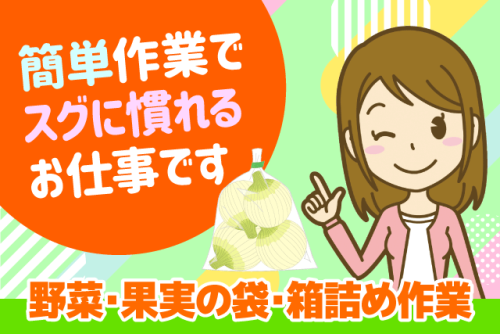 仕分けスタッフ 青果の袋詰め シンプル作業 週2日から パート｜丸三青果(有)｜愛媛県松山市千舟町
