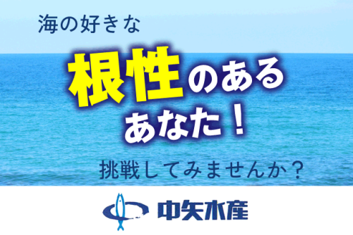 漁船員 イワシ漁業 経験不問 年間150日程度の勤務 正社員｜中矢水産｜愛媛県松山市西垣生町